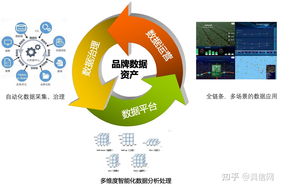 真信观察 从战术到战略——品牌的数字化转型之路