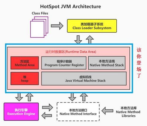 jvm运行时数据区,理解变量存储位置和作用域